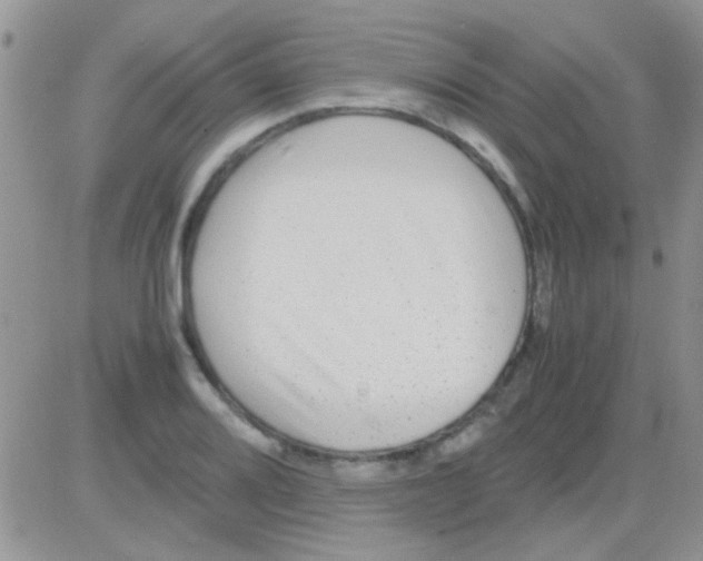 X0000082721080200702232315