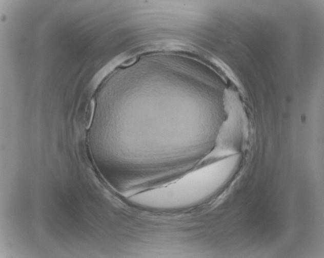 X0000082721081200702232315