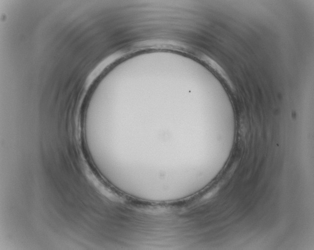 X0000082721082200702232315