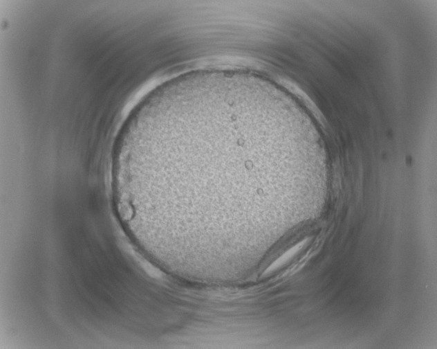 X0000082721083200702232315