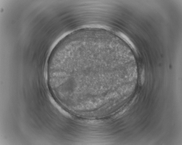 X0000082721084200702232315