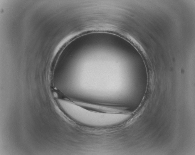 X0000082721085200702232315