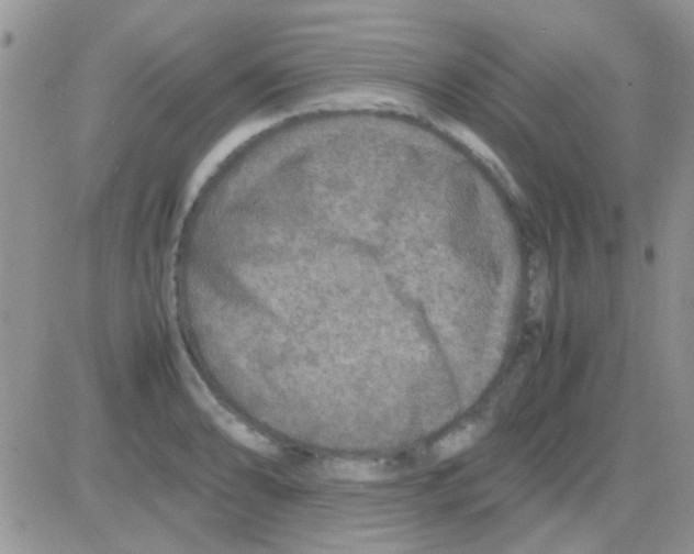 X0000082721086200702232315