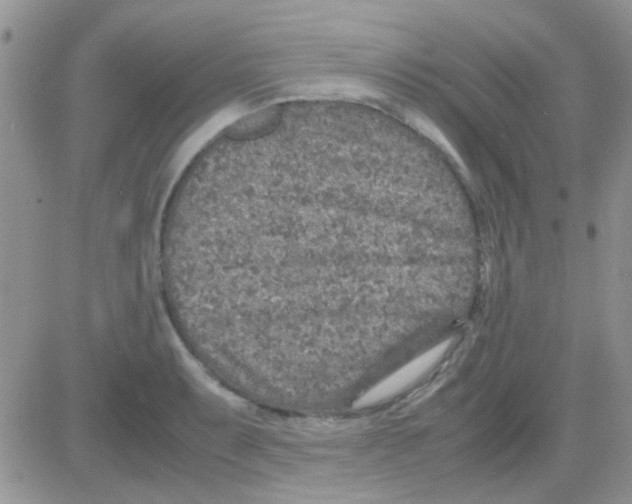 X0000082721087200702232315