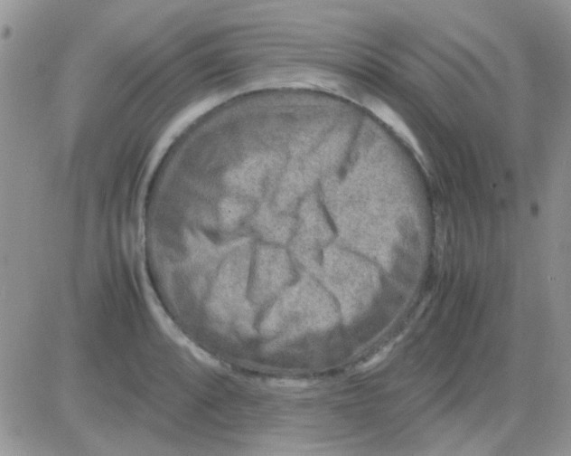 X0000082721088200702232315