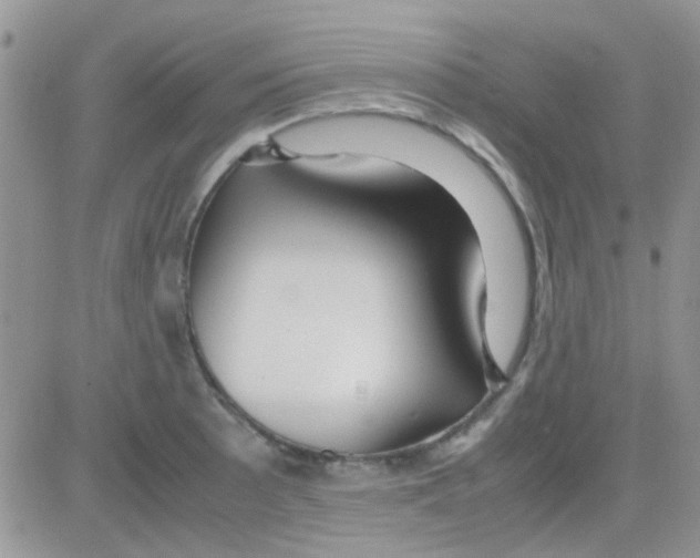 X0000082721089200702232315