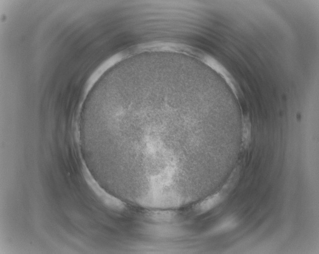 X0000082721090200702232315