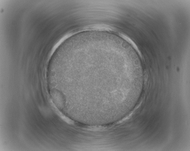 X0000082721091200702232315