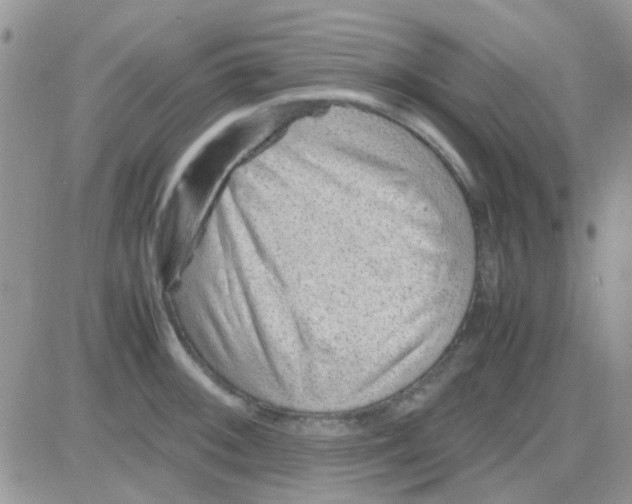 X0000082721092200702232315