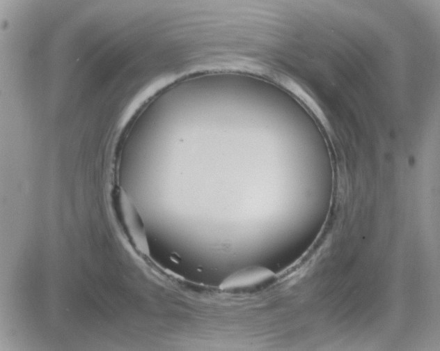 X0000082721093200702232315