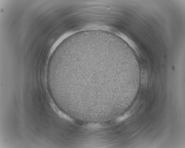 X0000082721094200702232315