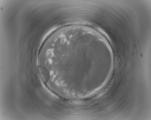 X0000082721095200702232315