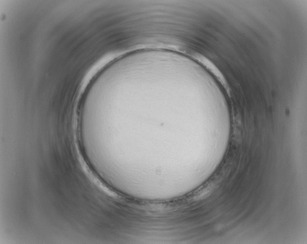 X0000082721096200702232315