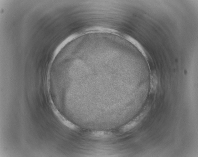 X0000082721098200702232315