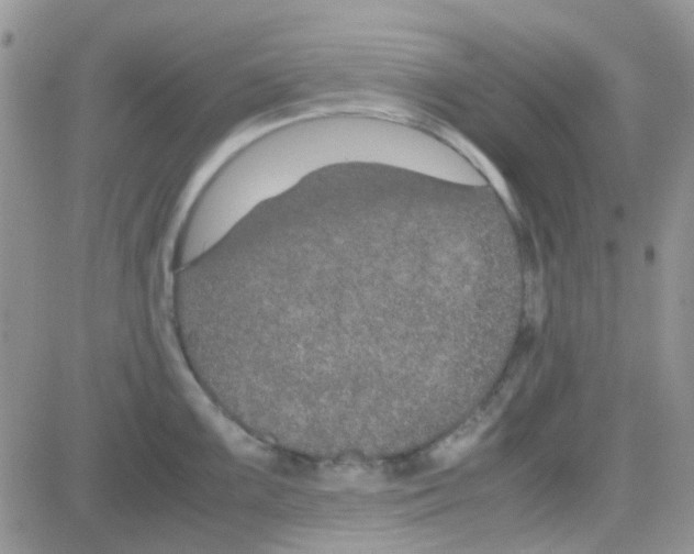 X0000082721099200702232315