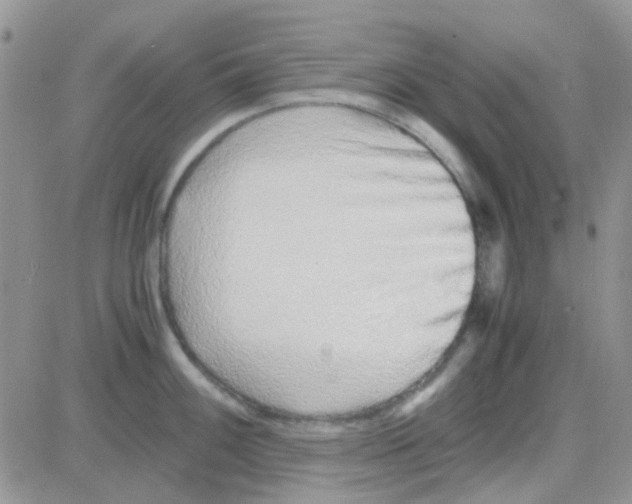 X0000082721100200702232315