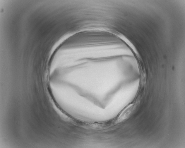 X0000082721101200702232315