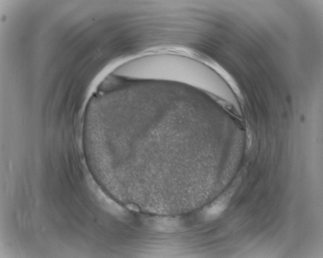 X0000082721102200702232315