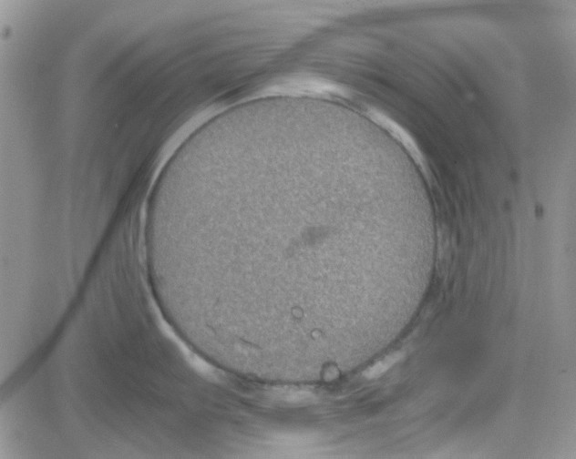 X0000082721103200702232315