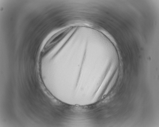 X0000082721104200702232315