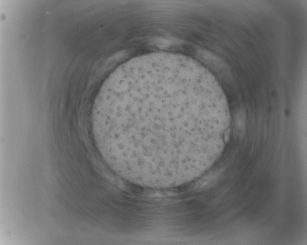 X0000082721105200702232314