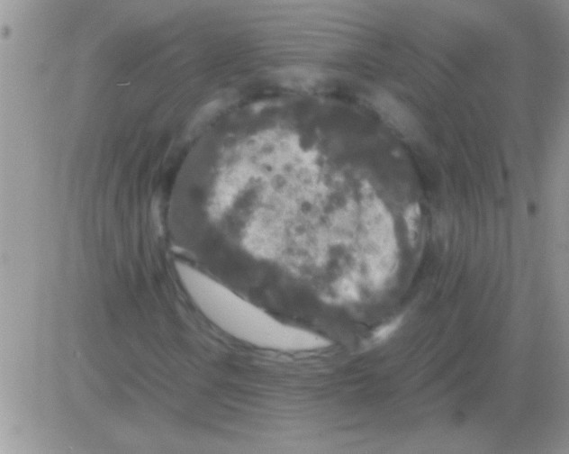 X0000082721106200702232314