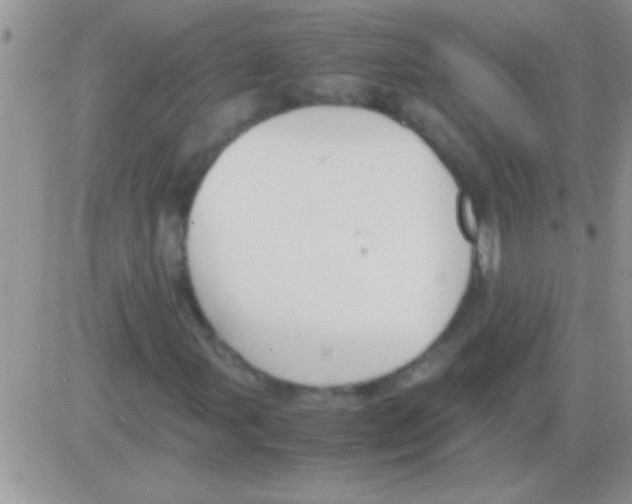 X0000082721107200702232314