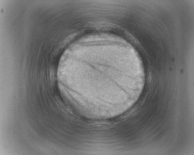 X0000082721108200702232314