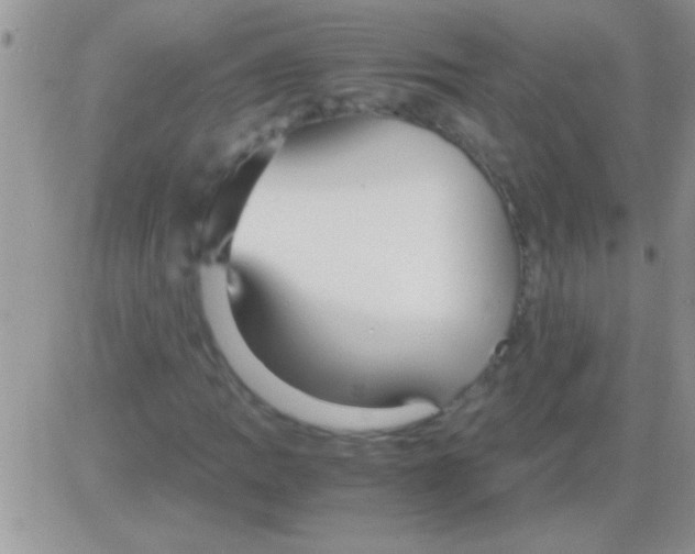 X0000082721109200702232314