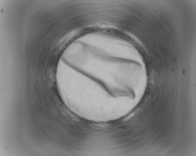 X0000082721110200702232314