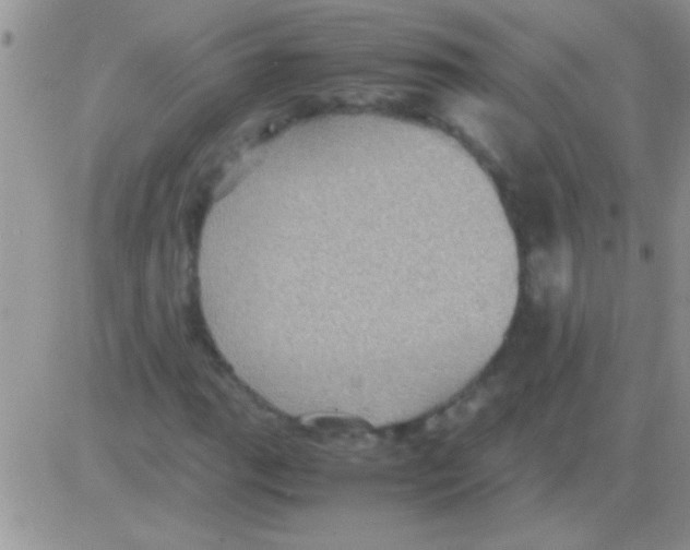 X0000082721111200702232314