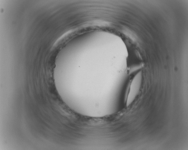 X0000082721112200702232314