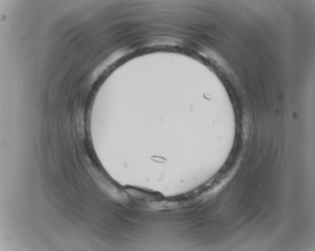 X0000082721113200702232314