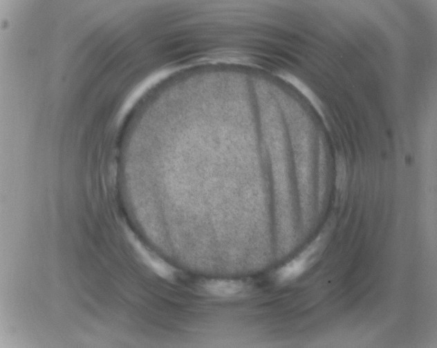 X0000082721115200702232314