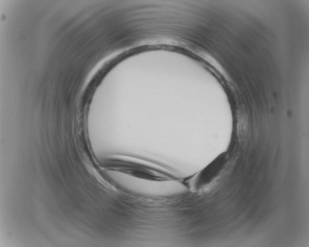 X0000082721116200702232314