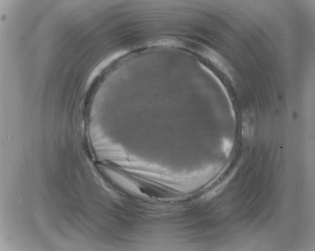 X0000082721117200702232314