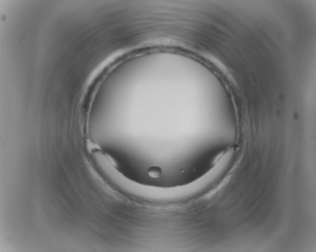 X0000082721118200702232314