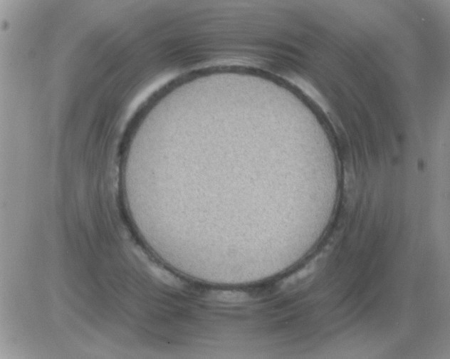 X0000082721119200702232314