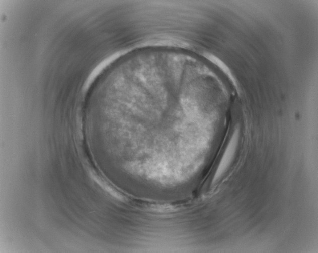 X0000082721120200702232314