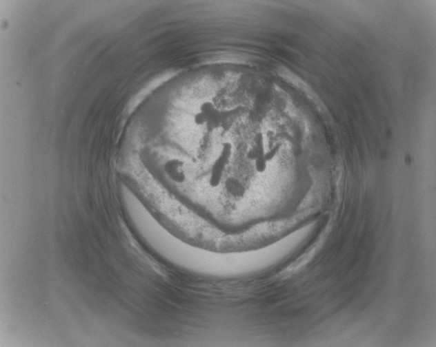 X0000082721121200702232314