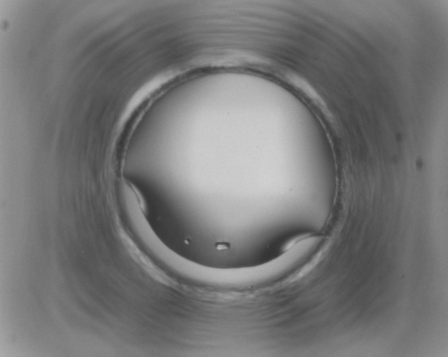 X0000082721122200702232314