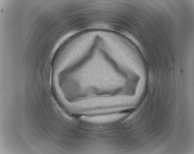 X0000082721123200702232315