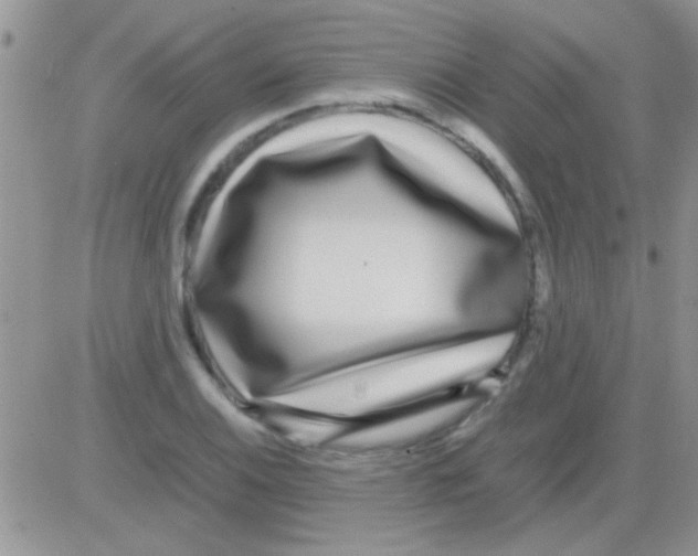 X0000082721124200702232315