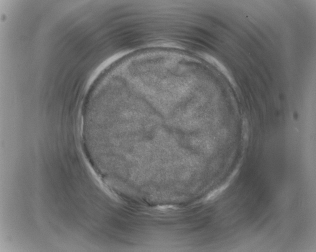 X0000082721125200702232315