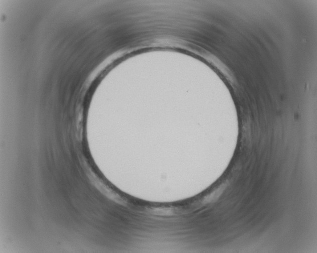 X0000082721126200702232315