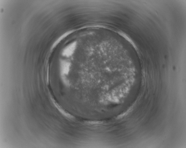 X0000082721127200702232315