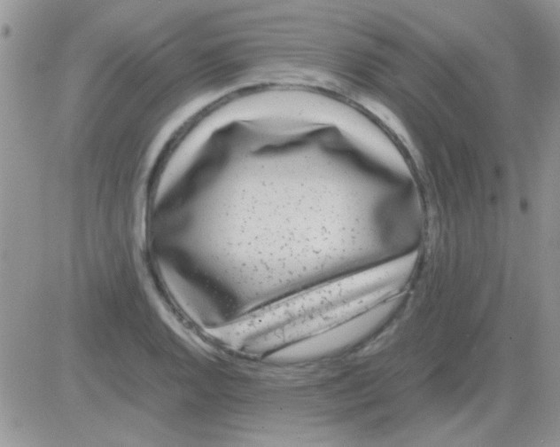 X0000082721128200702232315