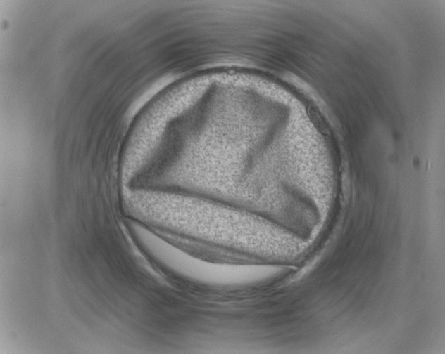 X0000082721129200702232315