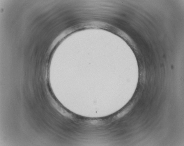 X0000082721130200702232315