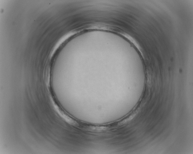 X0000082721131200702232315